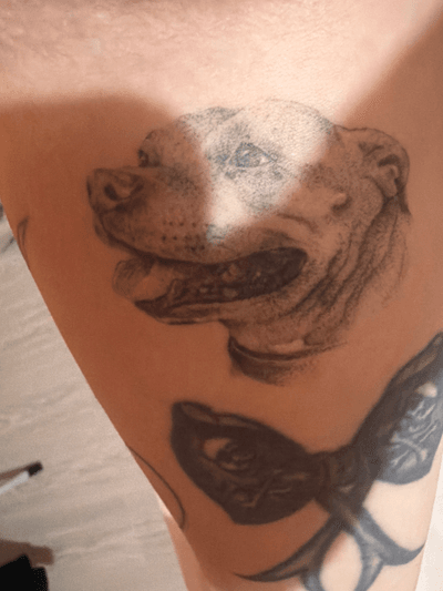 Review image by Tilly Cook for Lozz Tatts