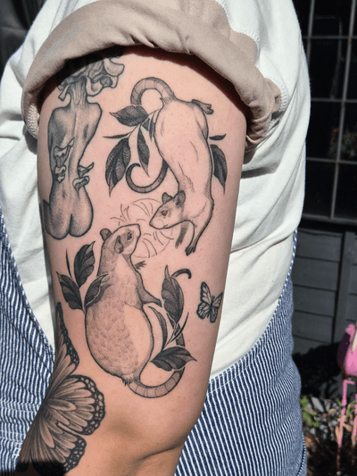 Review image by Scarlett Horsburgh for Michelle Harrison