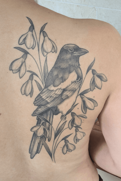 Review image by Harriet for Michelle Harrison