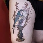 Today's favorite tattoo by Parkkaro #Parkkaro #favoritetattoos #favorite #besttattoos #tattooideas #newtattoo #tattooinspiration #cooltattoos #tattoodoapp #illustrative #bird #surrealism #surreal #leg #antlers