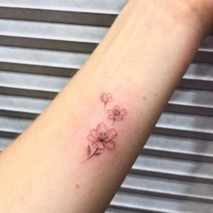 Cherry blossom tattoo by Tattoo Art by Hailey #Tattooartbyhailey #cherryblossomtattoos #cherryblossom #flowers #floral #nature #plant #cherryblossomtattoo #fineline #illustrative #tiny #small #minimal #armtattoo