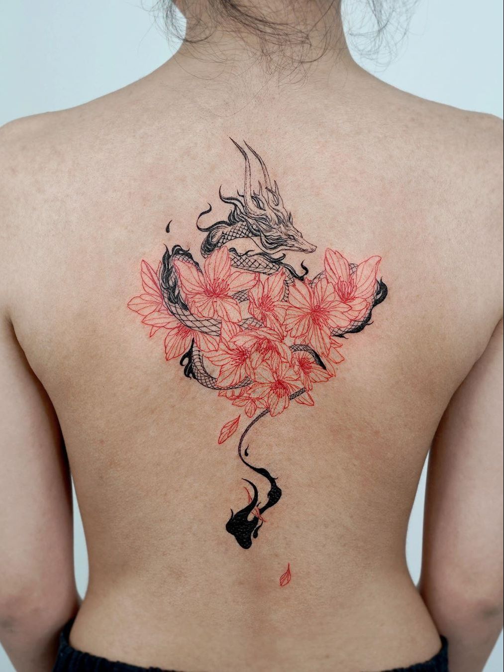 Dragon Tattoo Cherry Blossom Images Browse 364 Stock Photos  Vectors Free  Download with Trial  Shutterstock