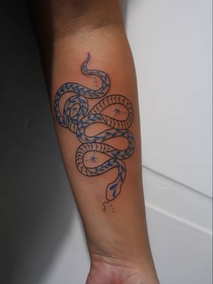 Illustrative tattoo by Katie Mcpayne #KatieMcpayne #illustrative #linework #queertattooer #vegantattoo #colortattoo #fineline #snake #serpent #stars #plant #floral #animal #arm