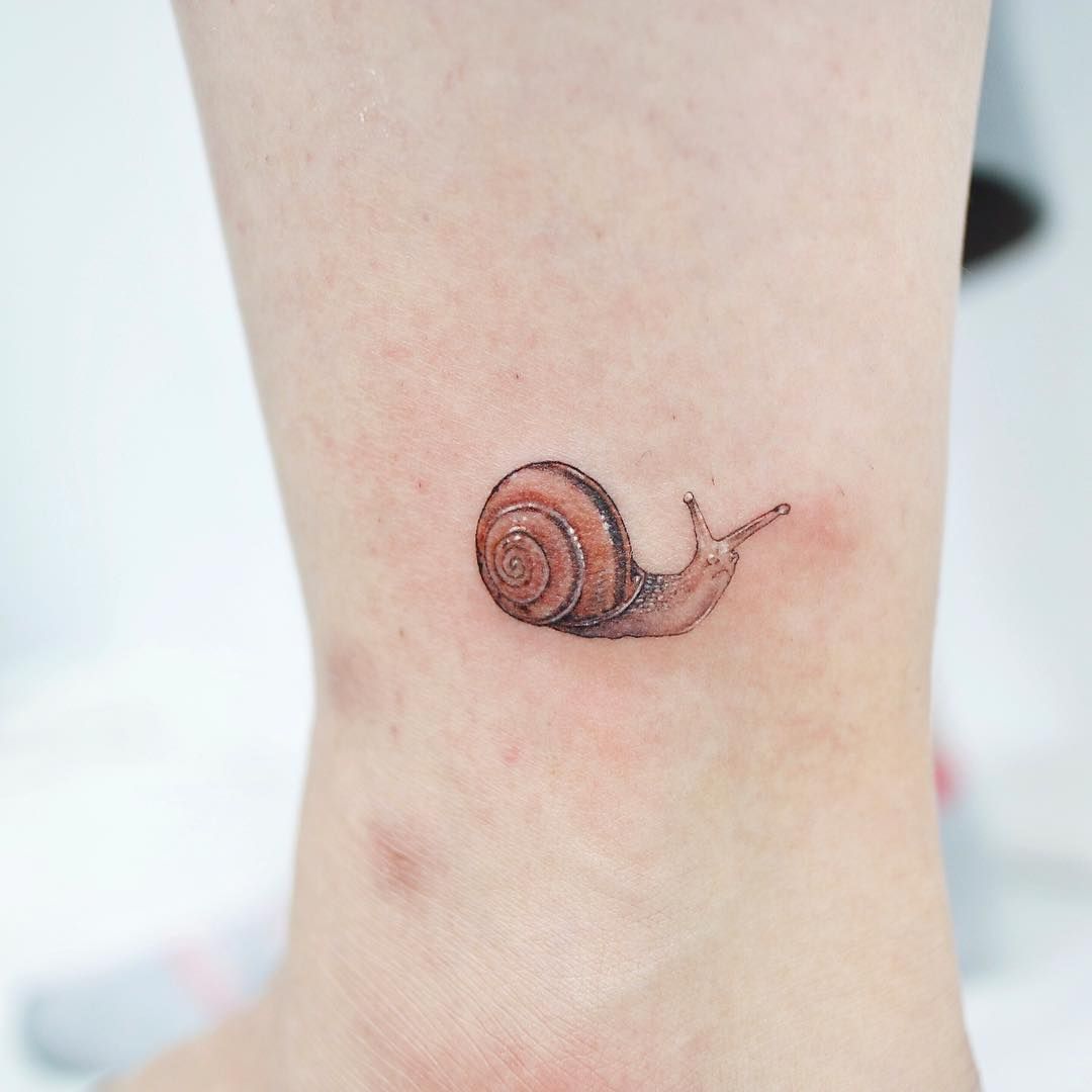 Thought this sub might appreciate my giant apple snail tattoo I got back in  august! : r/AquaticSnails