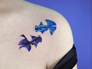 FIsh tattoo by SooSoo of Studio by Sol #SooSoo #StudiobySol #Seoul #Seoultattooartist #Koreantattooartist #Korea #fish #color #shoulder