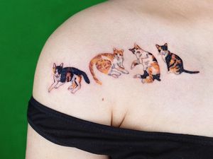 Cat tattoo by SooSoo of Studio by Sol #SooSoo #StudiobySol #Seoul #Seoultattooartist #Koreantattooartist #Korea #cat #kitties #shoulder