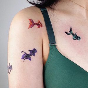 Fish tattoos by SooSoo of Studio by Sol #SooSoo #StudiobySol #Seoul #Seoultattooartist #Koreantattooartist #Korea #fish #color #shoulder #ocean #nature