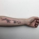 Hand poke tattoo by Sabrina Drescher aka stabdee #SabrinaDrescher #StabDee #handpoketattoo #illustrative #dotwork #handpoke #creationofadam #hands 