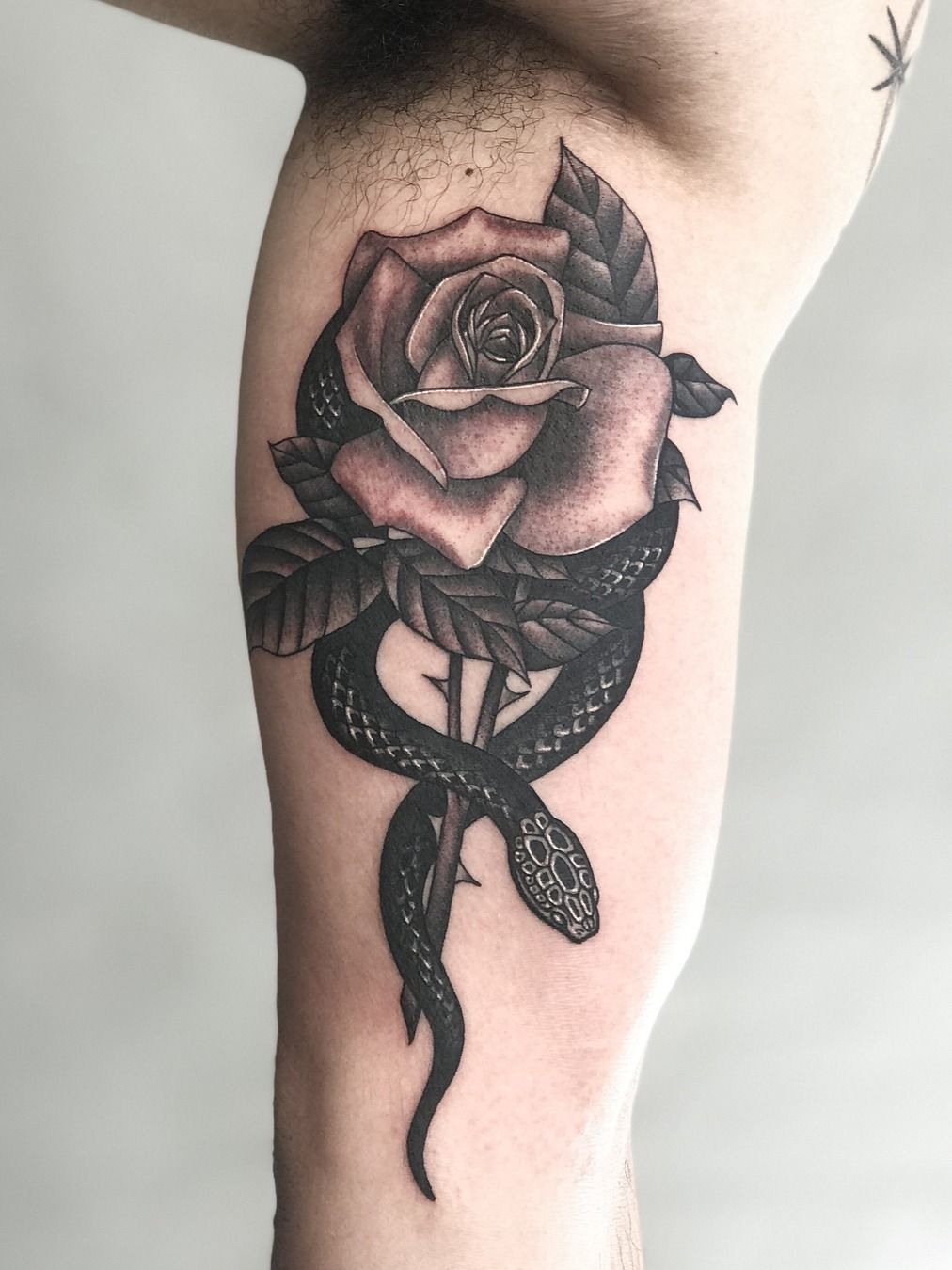 Crow and Roses Tattoo Temporary Tattoo Not a Tattoo Cute Tattoo Gothic  Tattoo - Etsy Denmark