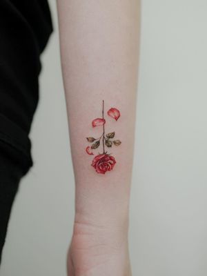 Rose tattoo by Donghwa #Donghwa #rosetattoo #rosetattoos #rosetattooidea #rose #roses #flower #floral #petals #plant #nature #bloom 