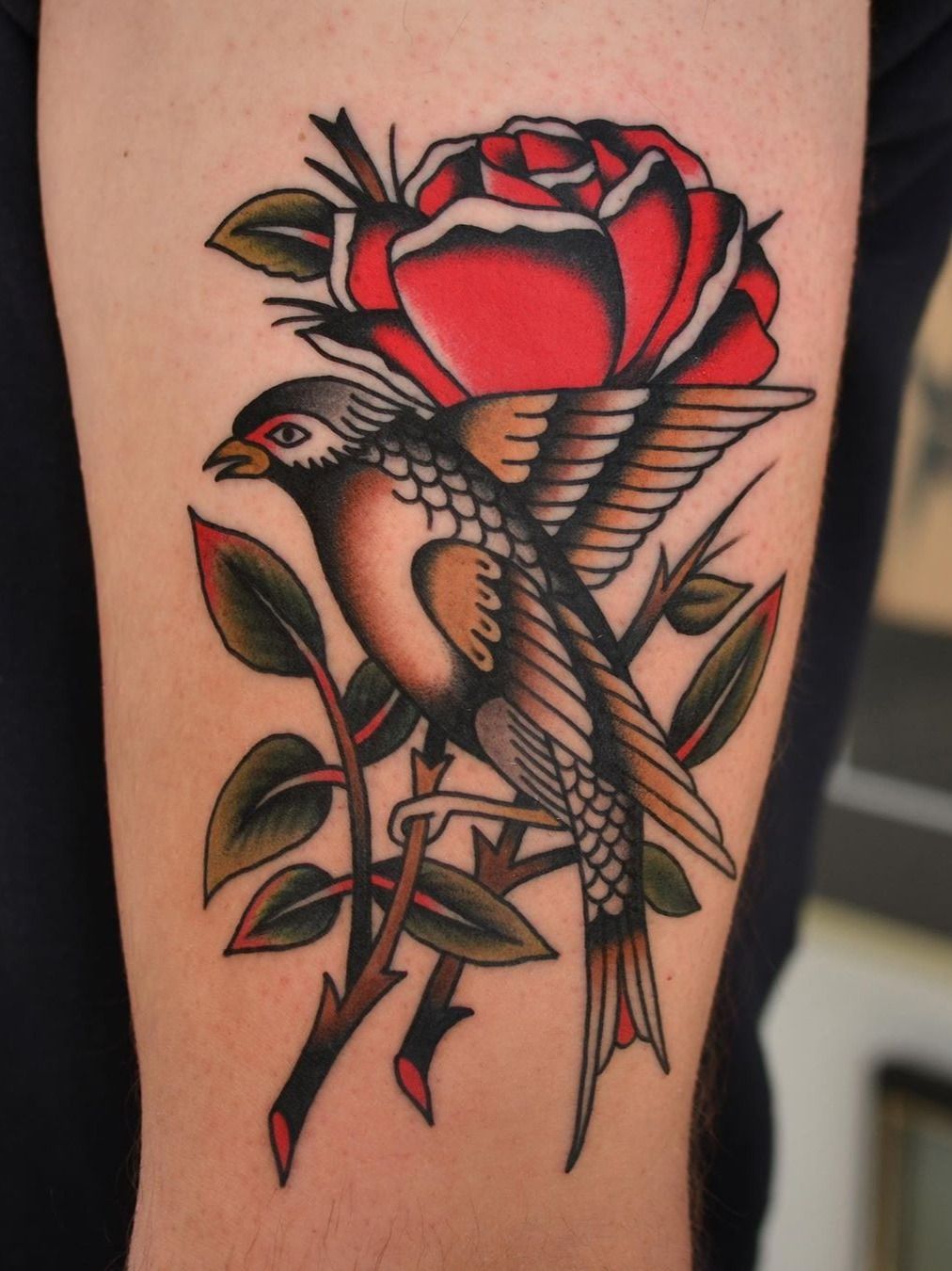 51 Excellent Rose  Swallow Tattoos  Designs With Meanings