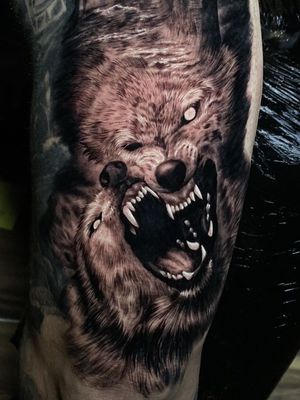 Wolf tattoo by Ash Higham #AshHigham #wolftattoo #wolftattoos #wolf #animal #nature #wolves 