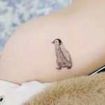 Illustrative watercolor tattoo by Ovenlee #Ovenlee #OvenleeTattoo #StudioBySol #watercolor #illustrative #colorpencil #sketch #cute #penguin #babyanimal #animal #nature