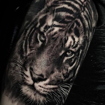 Tiger tattoo by ubiratanamorim #ubiratanamorim #hyperrealism #realism #blackandgrey #tiger #cattattoo #junglecat