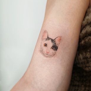 Kitty tattoo by Hansan tattoo #hansan #hansantattoo #kitty #cat #petportrait #cattattoo
