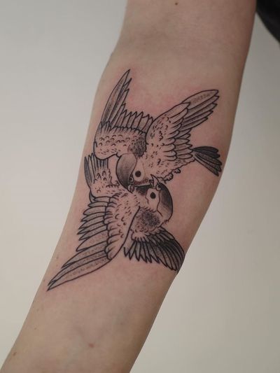 Bird tattoo by Ant the Elder #AnttheElder #illustrative #birdtattoo #birds #feathers #wings #armtattoo #forearmtattoo