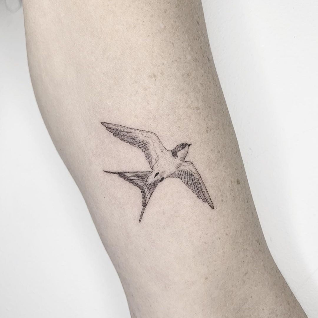 Aggregate more than 82 fine line bird tattoos best - in.coedo.com.vn