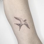 Bird tattoo by Emma Kristin #EmmaKristin #birdtattoo #feathers #sparrow #fineline #minimal 