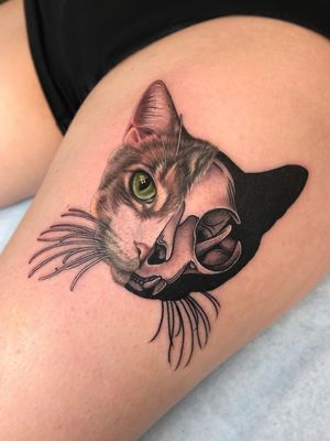 Cat tattoo by Megan Massacre of Grit n Glory #MeganMassacre #GritnGlory #cattattoos #cattattoo #kittytattoo #kitty #cat #petportrait #animal #nature