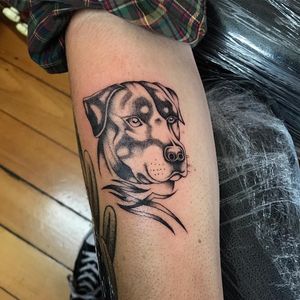 Illustrative tattoo by Alma Proenca #AlmaProenca #TwoHandsTattoo #Auckland #NewZealand #tattooapprentice #illustrativetattoo #dog #petportrait 