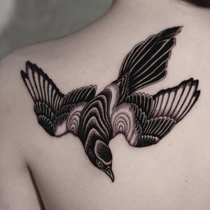 Bird tattoo by Arang #Arang #SeoulInkTattoo #Seoul #Korea #Seoultattoo #Seoultattooartist #Seoultattooshop #bird #feathers #nature #animal #illustrative