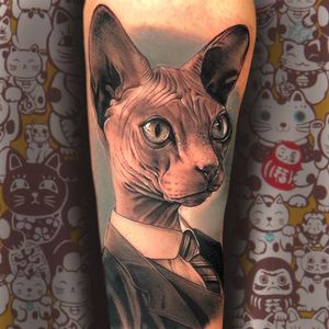 Sphynx cat tattoo by Raul Cruz One Love #Raulruz #RaulCruzOneLove #cattattoos #cattattoo #kittytattoo #kitty #cat #petportrait #animal #nature #sphynx