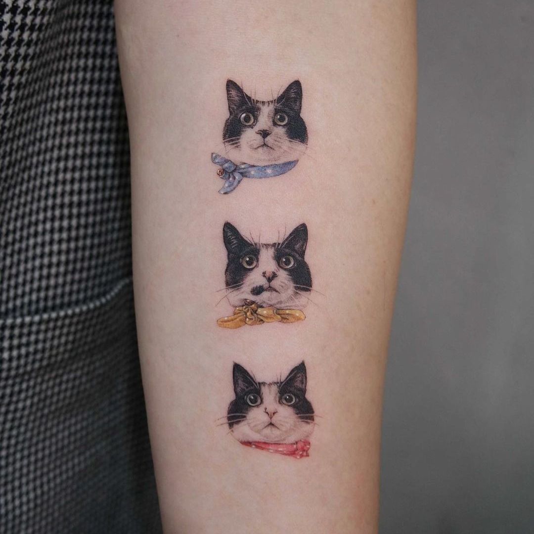 Amazing cat tattoo by angeliquegrimmtattooLocation Lausanne  SwitzerlandFollow realisticink for more amazing   Cat face tattoos Cat  tattoo Black cat tattoos