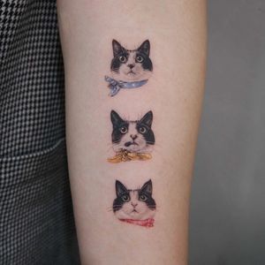 Cat tattoo by Youyeon #Youyeon #realism #realistic #cattattoos #cattattoo #kittytattoo #kitty #cat #petportrait #animal #nature