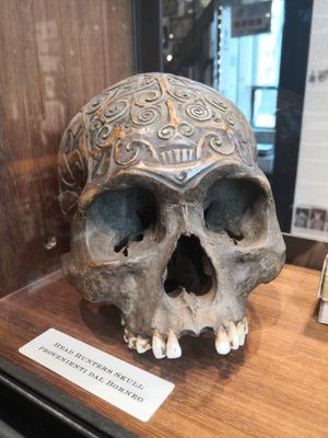Carved human skull, Borneo, #romatatttomuseum #tattoohistory #tattoomuseum #tattooculture #rome #italy