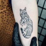 Illustrative tattoo by Fan Wu #FanWu #illustrative #linework #drawing #cat #petportrait #arm