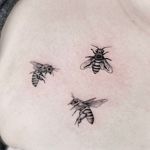Illustrative tattoo by Fan Wu #FanWu #illustrative #linework #drawing #insect #nature #bee