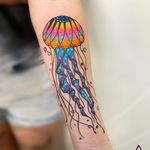 #aguaviva #jellyfish #mar #sea #EricSkavinski #colorido #colorful #aquarela #watercolor