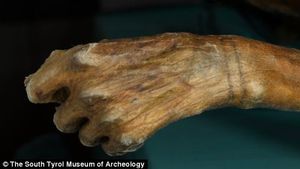 Horizontal Line tattoos on Otzi the Iceman’s wrist (Credit: The South Tyrol Museum of Archaeology) #ancienttattoos #geometrictattoos #blacklinetattoos #Otzitheiceman