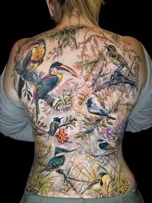 #LedCoult #realismo #realism #tatuadoresdobrasil #brasil #brazil #brazilianartist #passaros #birds