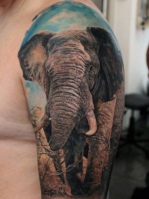 #LedCoult #realismo #realism #tatuadoresdobrasil #brasil #brazil #brazilianartist #elefante #elephant 