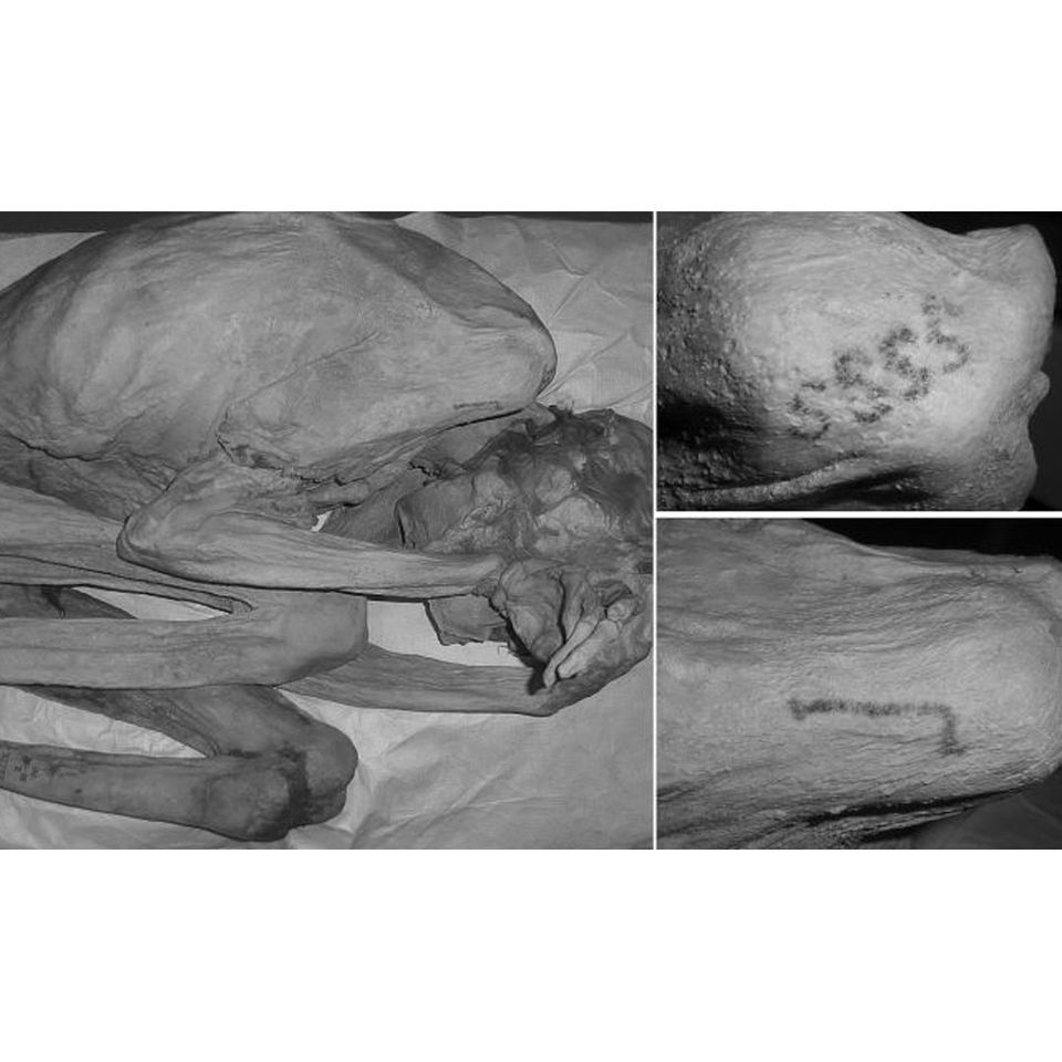 Infrared images of the Gebelein woman and her tattoos (Credit: Copyright Trustees of the British Museum) #ancientegypt #historyoftattoos #figuraltattoos #Egypt #ancienttattoos #tattooculture #tattoohistory #egyptiantattoos