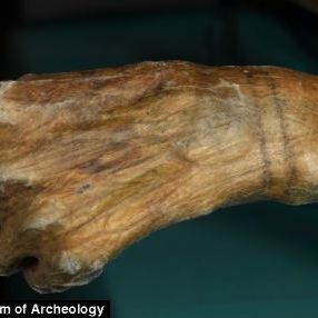 Horizontal Line tattoos on Otzi the Iceman’s wrist (Credit: The South Tyrol Museum of Archaeology) #ancienttattoos #geometrictattoos #blacklinetattoos #Otzitheiceman
