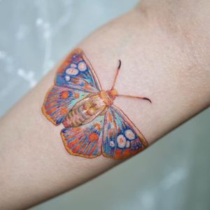 Butterfly tattoo by Yvonne Tattoo #YvonneTattoo #NoNameTattoo #Seoul #Koreantattooartist #femaletattooartist #illustrative #butterfly 