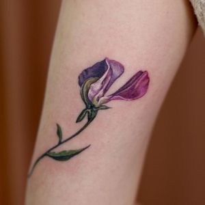 Flower tattoo by Isle Tattoo #IsleTattoo #NoNameTattoo #Seoul #Koreantattooartist #femaletattooartist #watercolor #flower #floral
