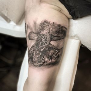 Turtle tattoo by Lil Jeon #LilJeon #blackandgrey #realism #turtle #animal #oceanlife