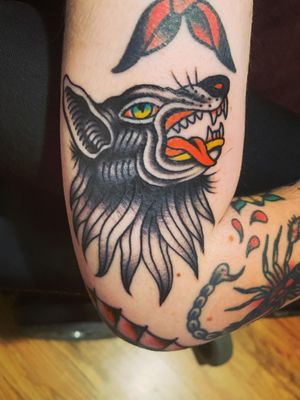 American traditional wolf head on Christian by John Lemmon. #christianponisi #johnlemmon#wolfheadtattoo #americantraditionaltattoo