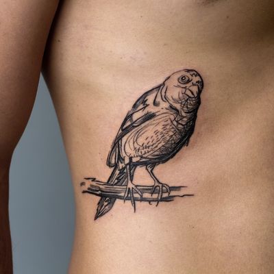 Illustrative tattoo by Cee Burgundy #CeeBurgundy #queertattooer #qttr #vegantattoo #vegantattooer #illustrative #abstract #abstractexpressionism #bird #feathers #nature