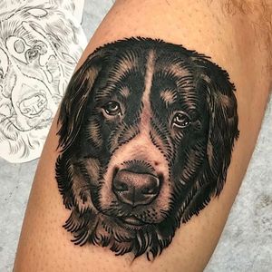 Dog Tattoo by Virginia Elwood using Everence Ink #VirginiaElwood #memorialtattoo #ashink #ashtattoo #memorialashtattoo #dnatattoo #dnaink