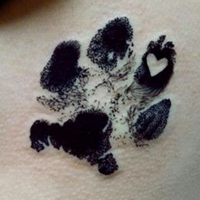 Pet Memorial Tattoos  My Pets Ashes