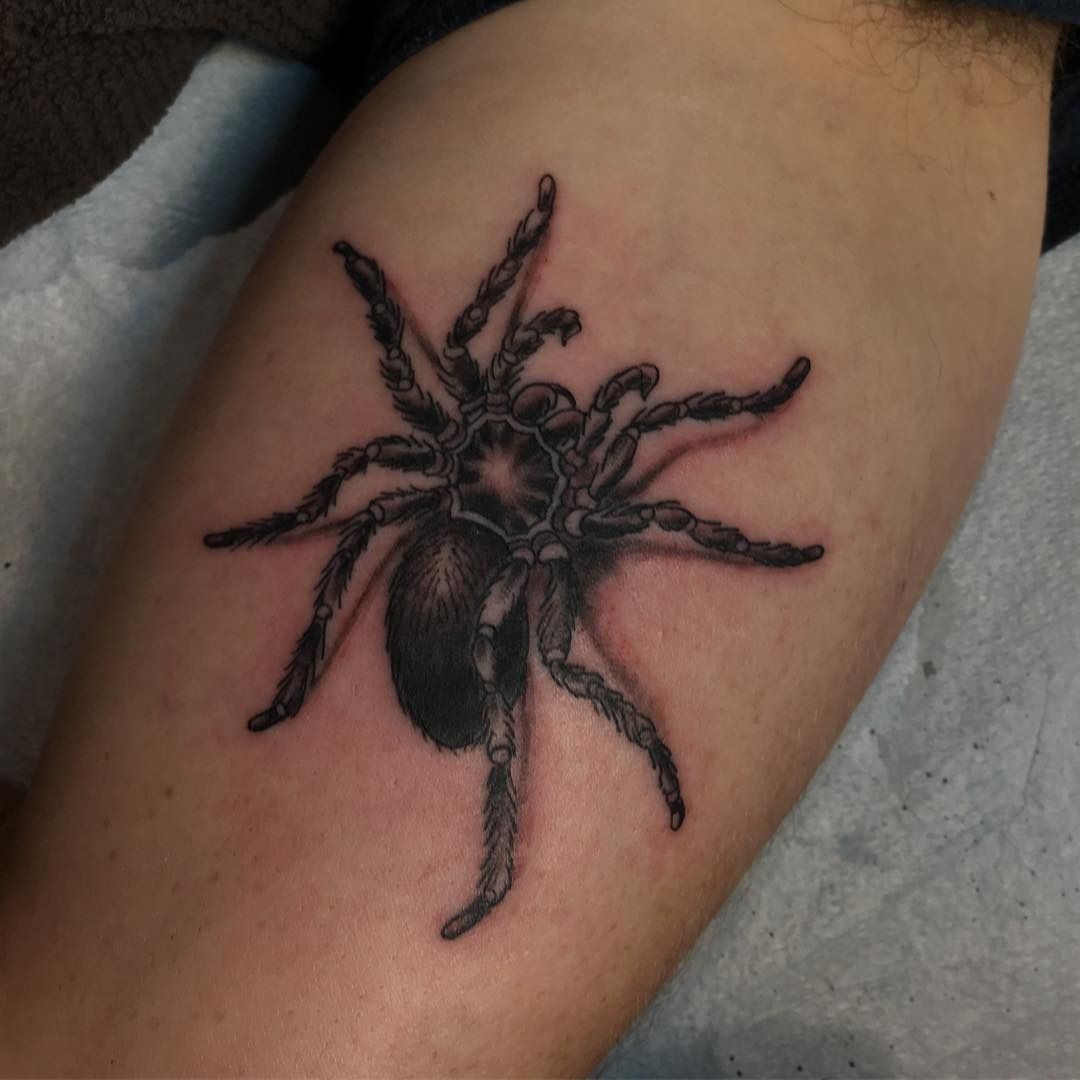 Spider tattoo by TranscendentalnyP on DeviantArt