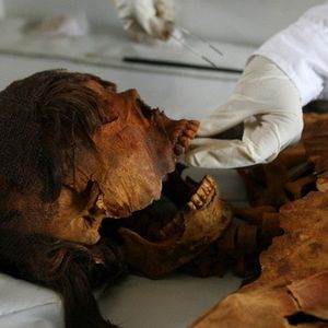 Mummified Chiribaya woman. Photo Credit: Mariana Bazo #medicinaltattooing #ancienttattoos #historyoftattooing #culturaltattoos 