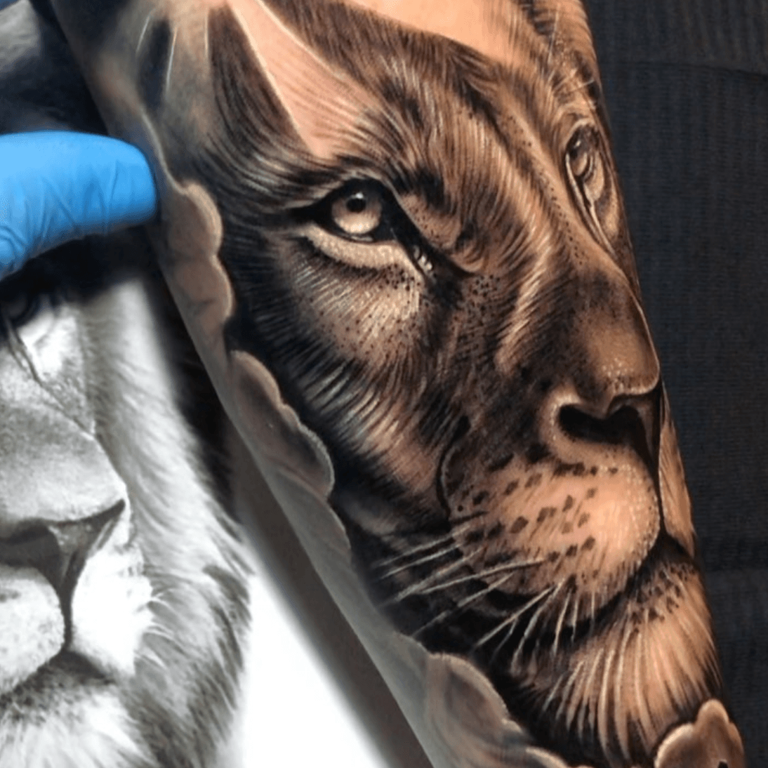 Tattoo Guy on Tumblr: Snarling Lion's Head Tattoo in progress! #LionTattoo # Lion #RealisticTattoo #Realism #Roar #WorkinProgress #FollowMe #TattooGuy...