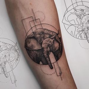 Elephant tattoo by Cause Chaos #CauseChaos #elephant #blackandgrey #fineline #dotwork #animal #africa