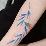 Watercolor tattoo by 9room #9room #watercolor #color #unique #nature #plant #leaves