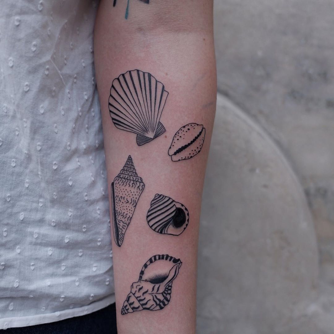 Illustrative Seashell Tattoo Design – Tattoos Wizard Designs